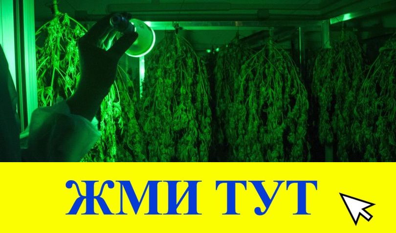 Купить наркотики в Топках